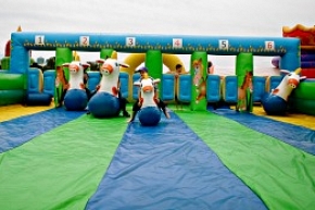 Donkey Horse Derby Racing
